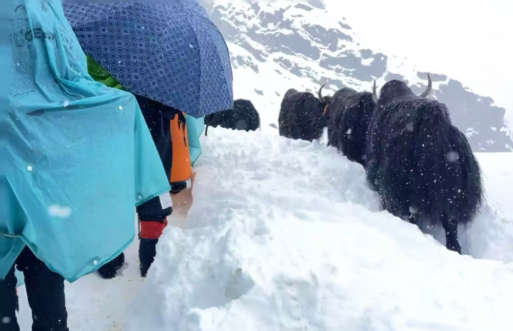 潮、寂静雪山与一场不期而至的暴雪冰球突破技巧珠峰东坡一夜：喧嚣人(图5)